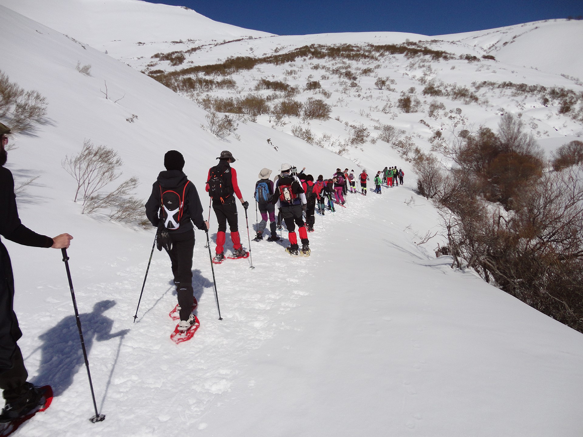 Imagen de Raquetas de Nieve